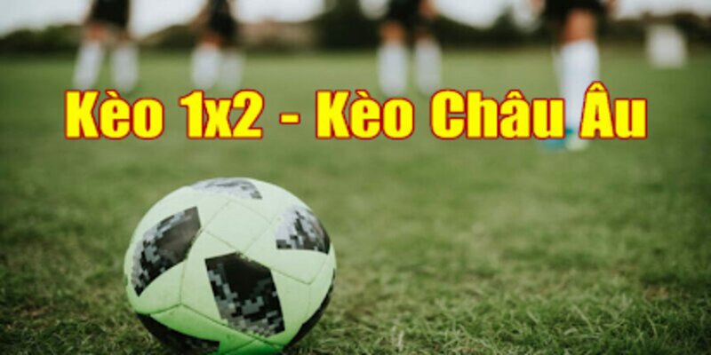 Cá cược kèo 1x2 say mê, trả thưởng hậu hĩnh