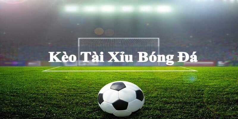 Đọc tỷ lệ tài xỉu trong kèo bóng đá chính xác